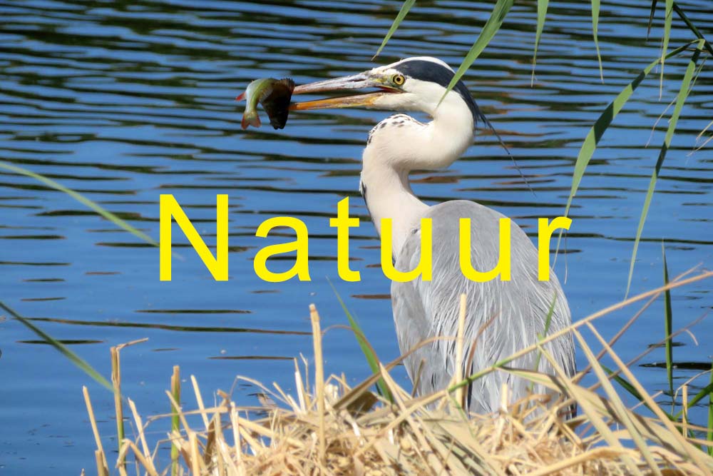 Natuur